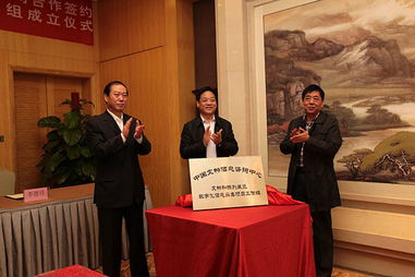 文化遺產(chǎn)保護(hù)進(jìn)入數(shù)字化發(fā)展快車道