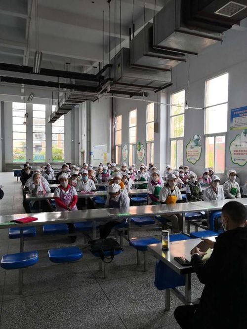 筑牢校園食品安全防線 射洪市經(jīng)開(kāi)區(qū)市場(chǎng)監(jiān)管所深入綠然國(guó)際學(xué)校開(kāi)展專項(xiàng)培訓(xùn)